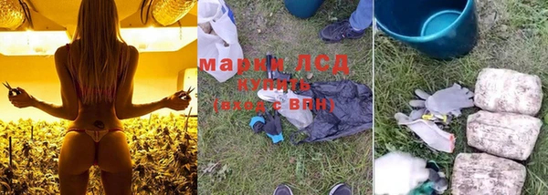 эйфоретик Надым