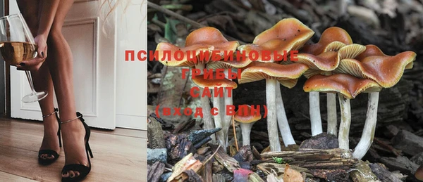 амф Нефтегорск