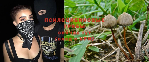 эйфоретик Надым